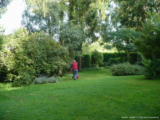 Gerry and mower: made for each other