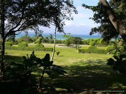 Casa de Don David's Garden