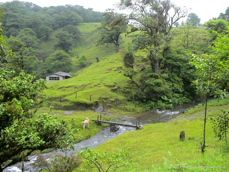 Countryside as it looks when the mist is gone