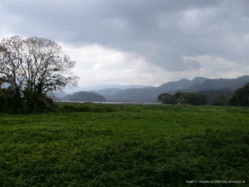 Lago Yojoa and distant mountains