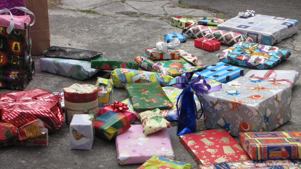 Riccarton Park Race Finish