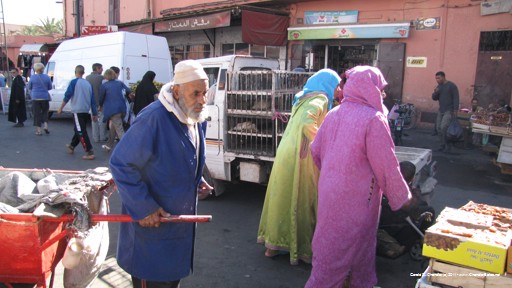Dar Dadou Street Market