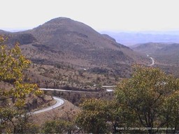 Chihuahua High Country
