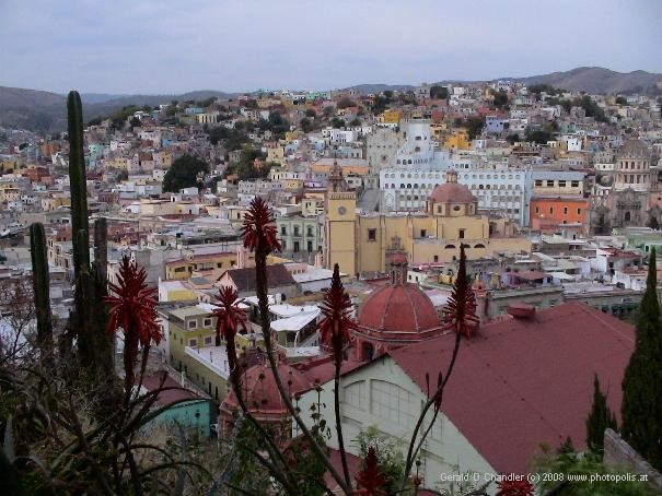 Central Guanajuato
