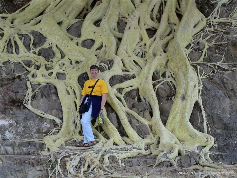Jan in front of Roots of tree in Chalcatzingo rocks