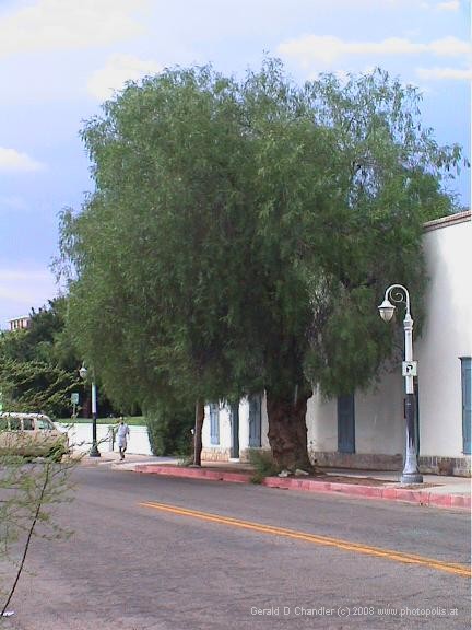 University of Arizona